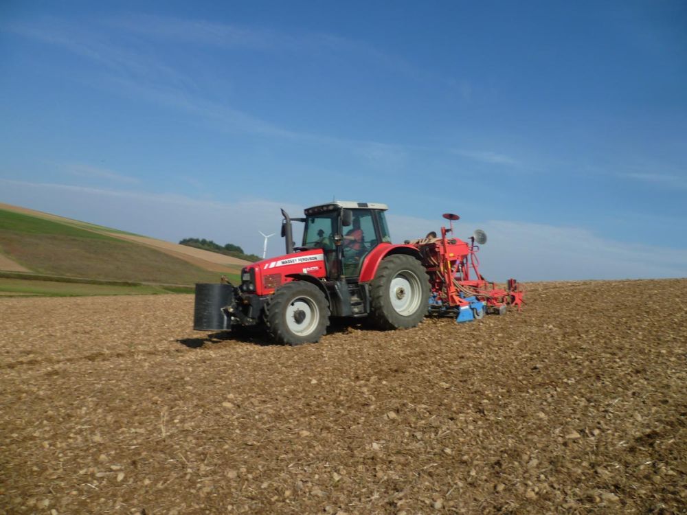 Im Oktober wird der Grünkern gesät